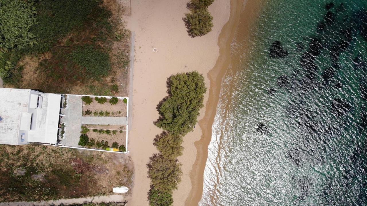 Galazio Seaside Apartments Livadakia Buitenkant foto